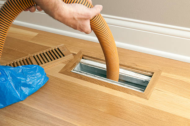 Best Dryer Vent Cleaning Services  in Tuscola, IL